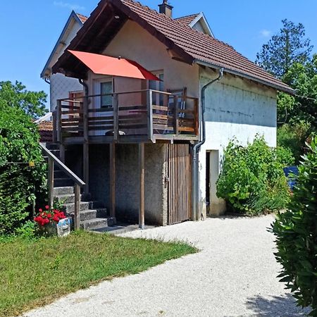 Une Tiny House A Decouvrir Au Coeur De La Cite ! Contrexéville Екстериор снимка